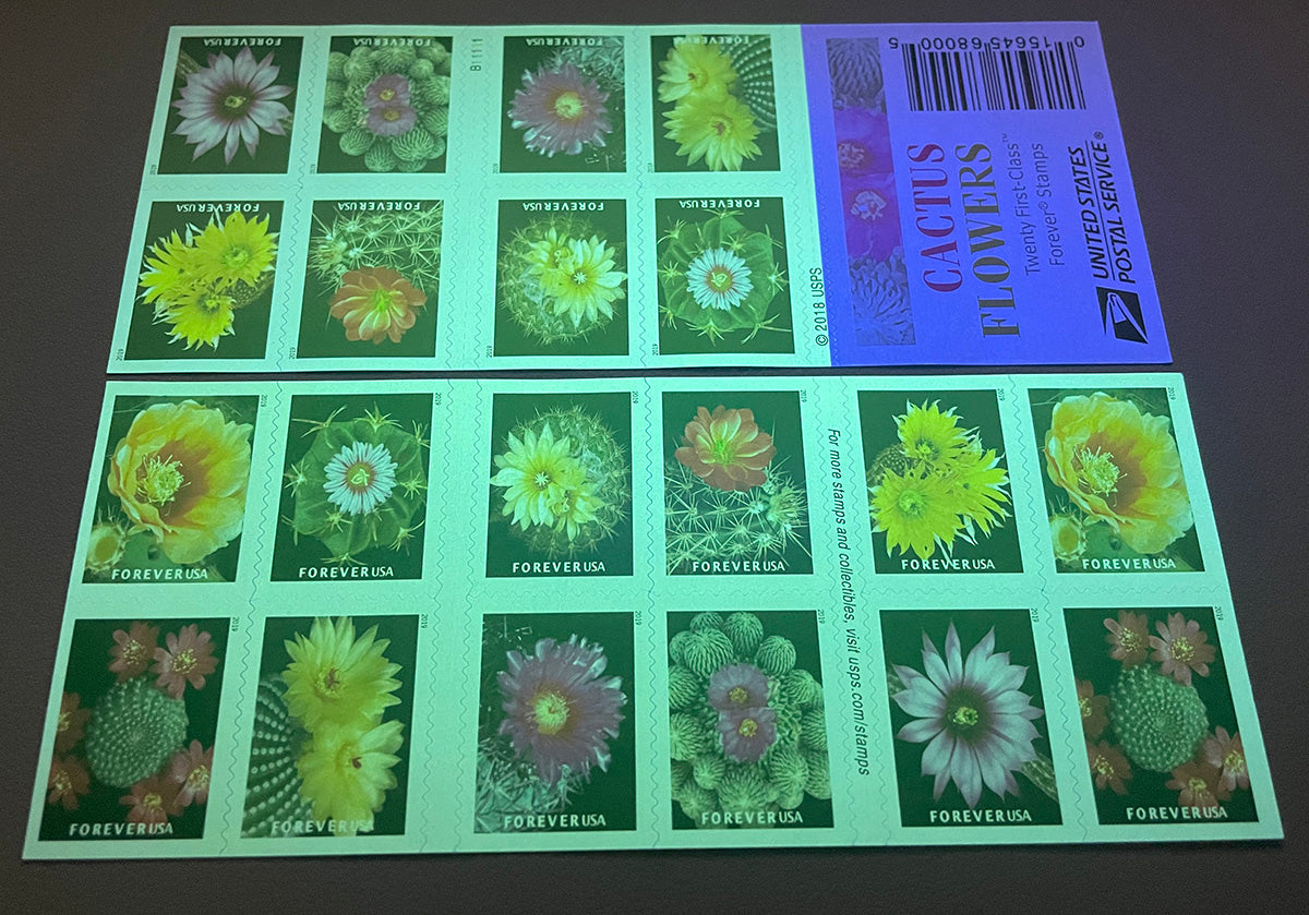 Cactus Flowers Forever First Class Postage Stamps - Stamps Co Online