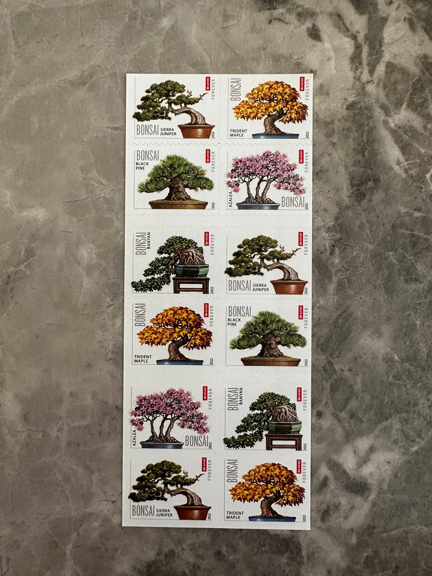Bonsai Tree Forever First Class Postage Stamps - Stamps Co Online