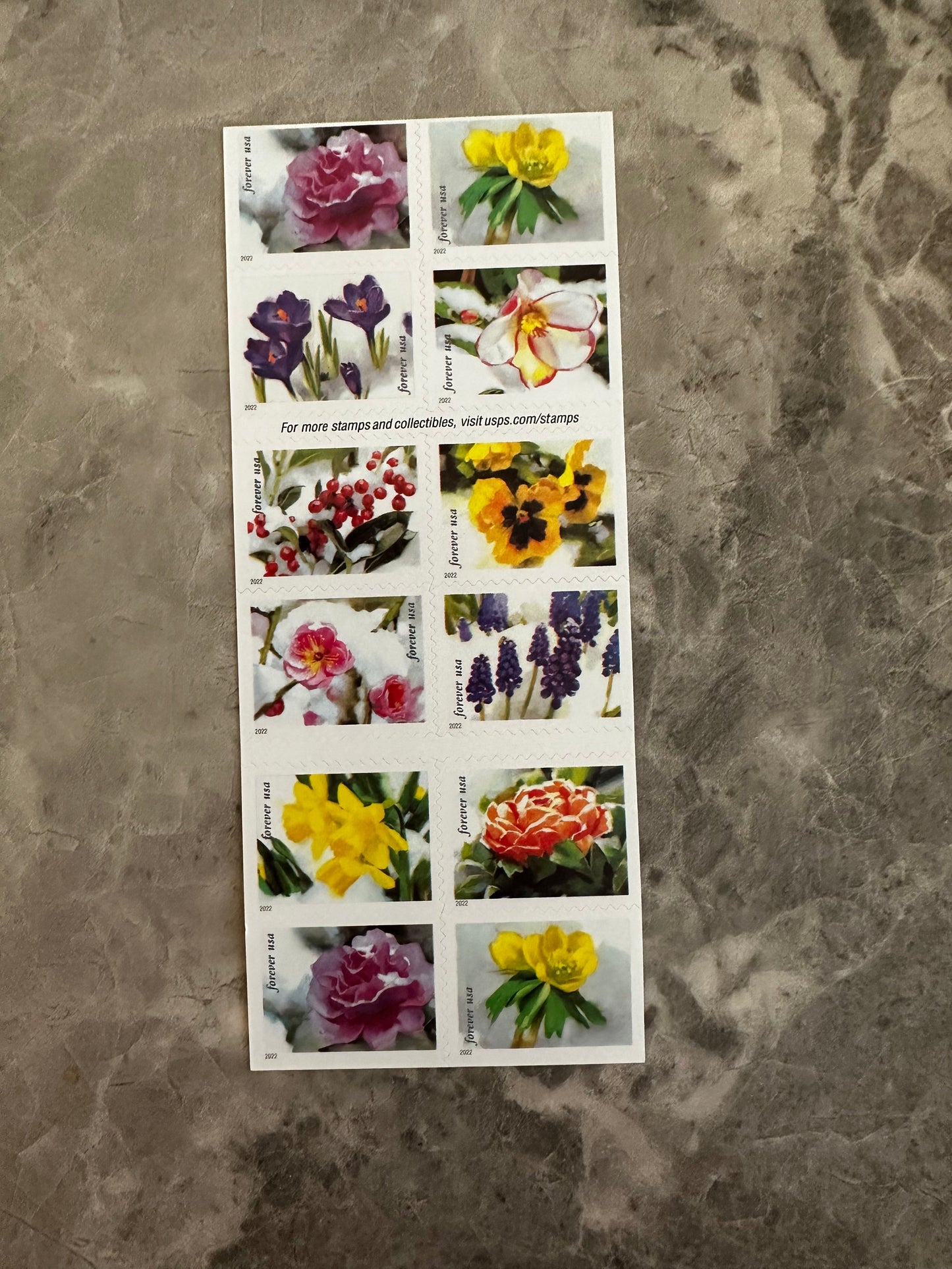 Snowy Beauty Bloom First Class Postage Forever Stamps - Stamps Co Online