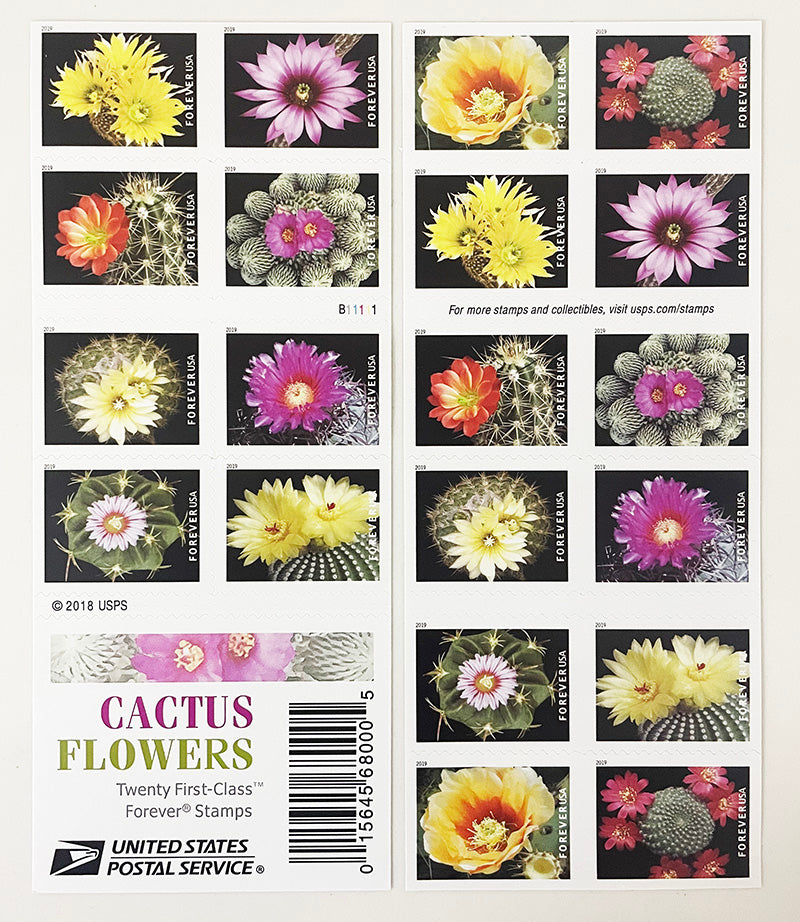 Cactus Flowers Forever First Class Postage Stamps - Stamps Co Online