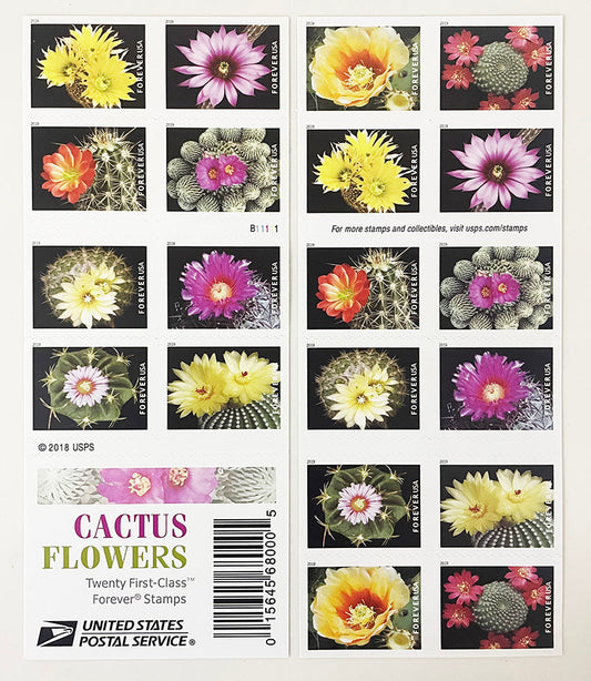 Cactus Flowers Forever First Class Postage Stamps - Stamps Co Online