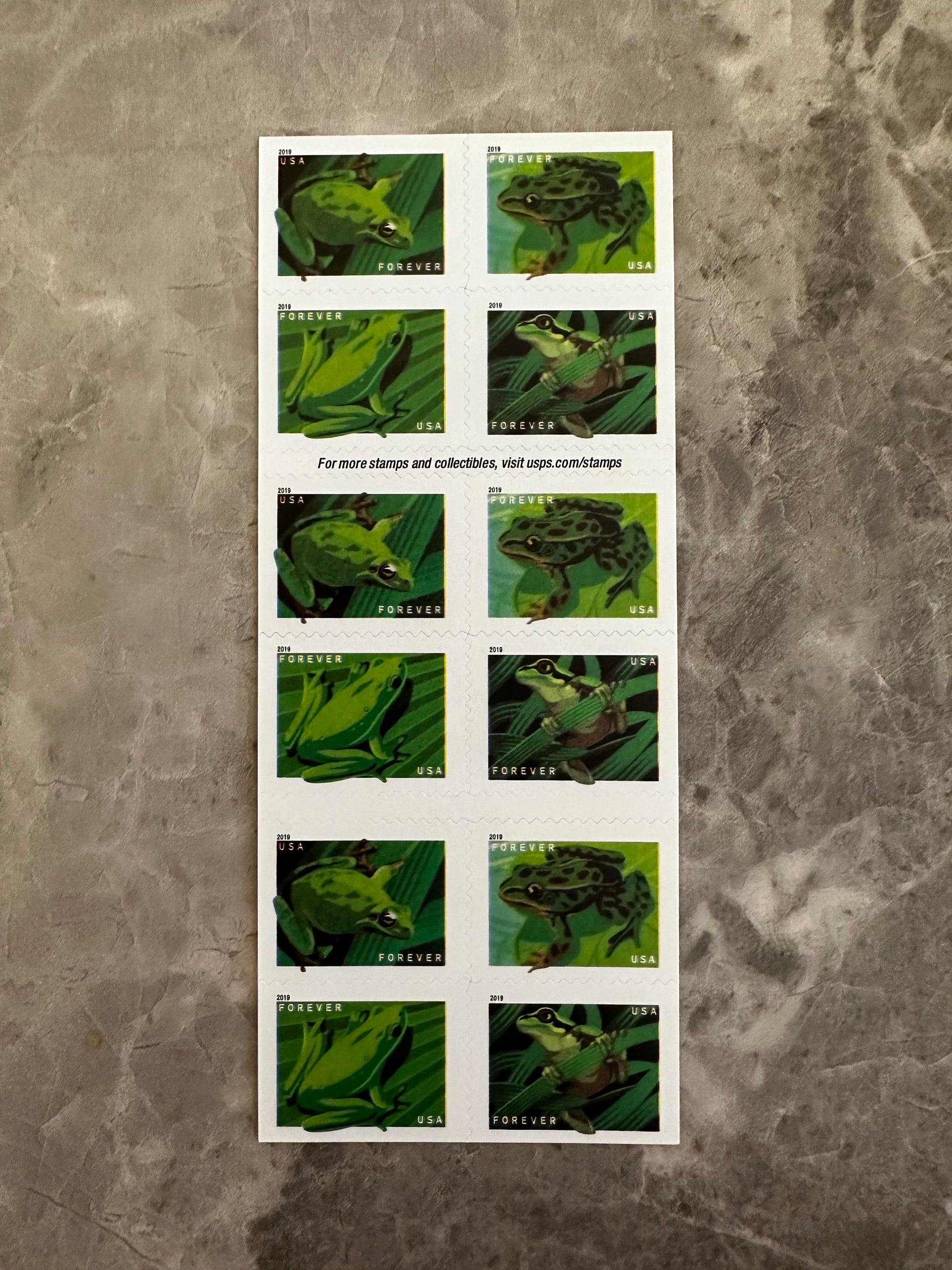 Frogs Forever Postage First Class Stamps - Stamps Co Online
