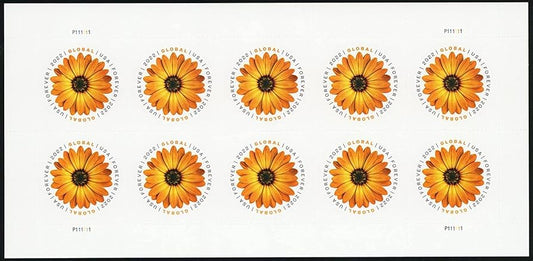 Global African Daisy International First Class Forever US Postage Stamps - Stamps Co Online