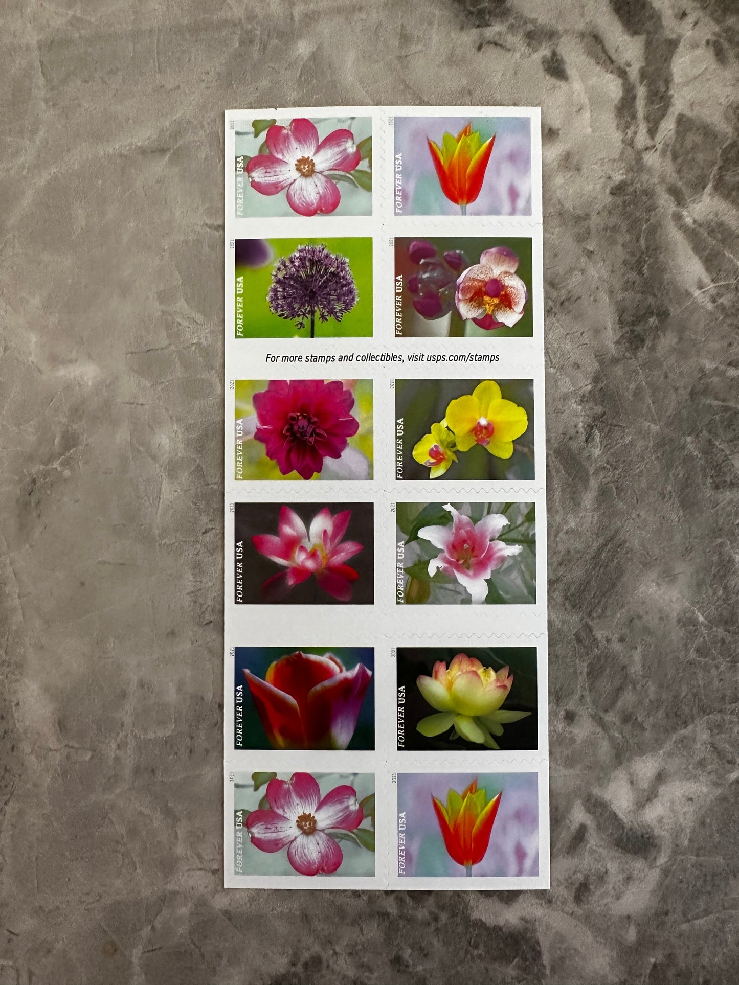 Garden Beauty First Class Postage Forever Stamps - Stamps Co Online