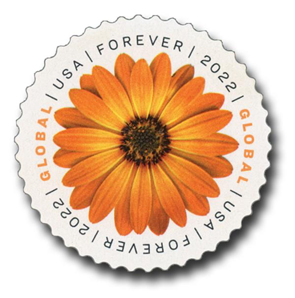 Global African Daisy International First Class Forever US Postage Stamps - Stamps Co Online