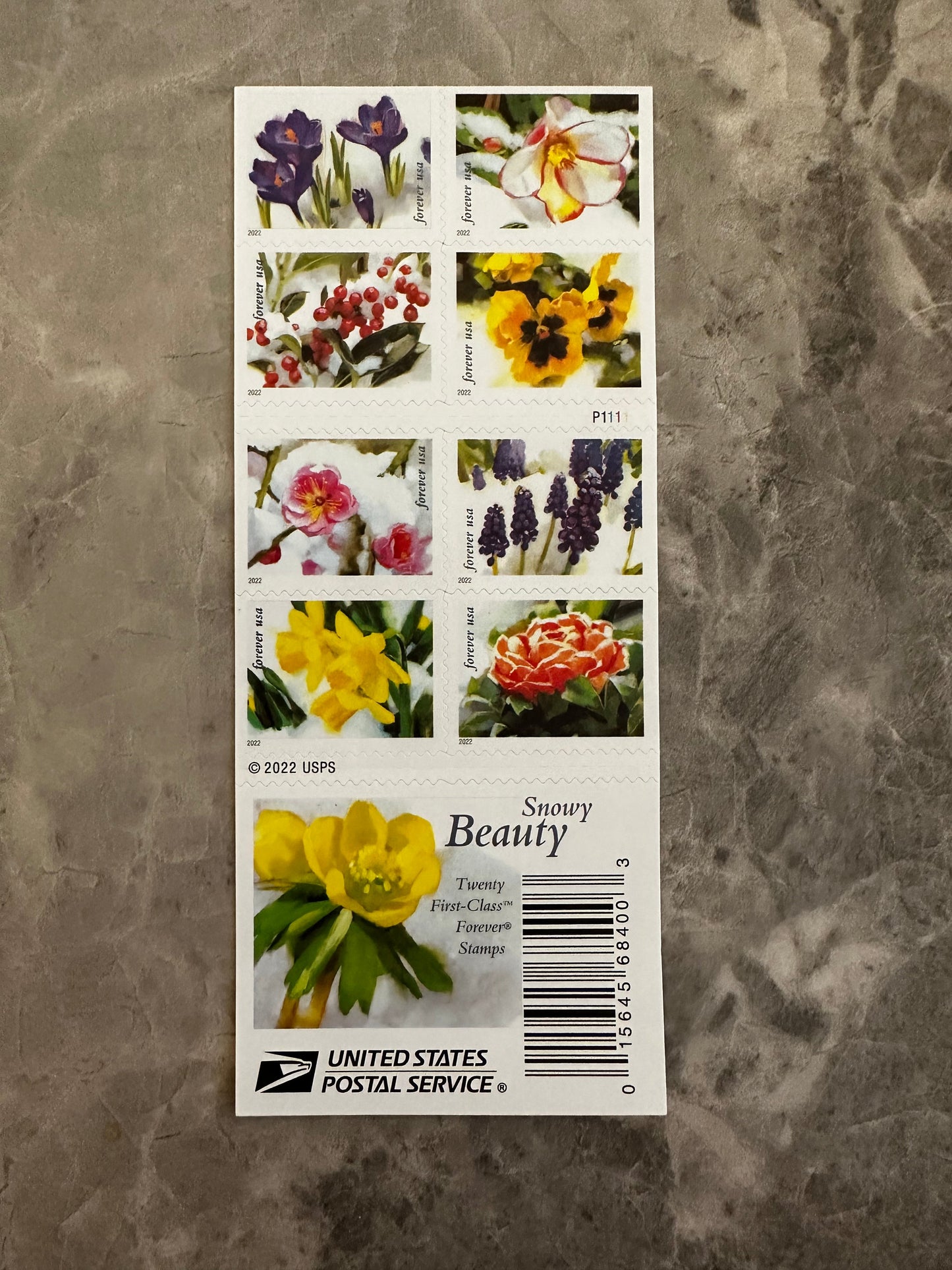 Snowy Beauty Bloom First Class Postage Forever Stamps - Stamps Co Online