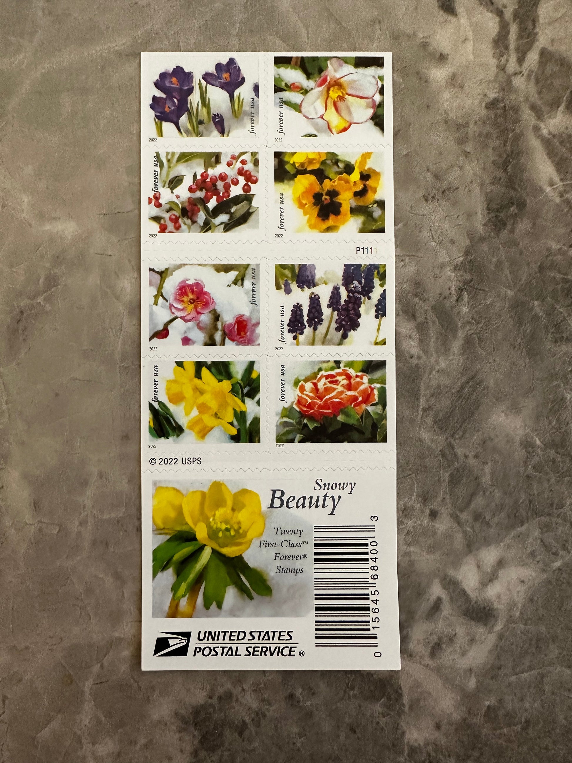 Snowy Beauty Bloom First Class Postage Forever Stamps - Stamps Co Online