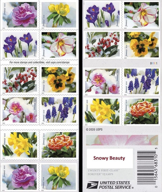 Snowy Beauty Bloom First Class Postage Forever Stamps - Stamps Co Online
