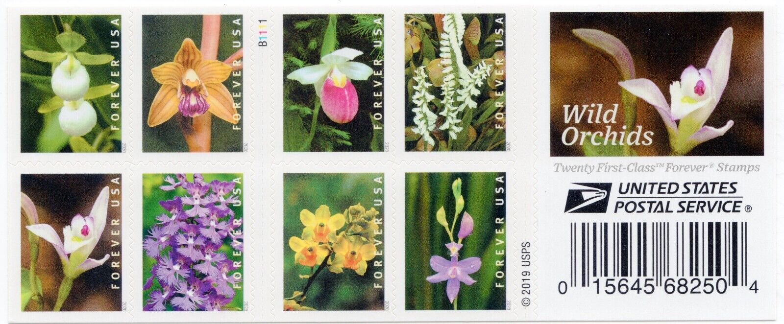 Wild Orchids Forever First Class Postage Stamps - Stamps Co Online