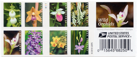 Wild Orchids Forever First Class Postage Stamps - Stamps Co Online